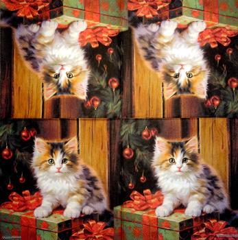 KAT-943 Cats - 3-ply - Ambiente